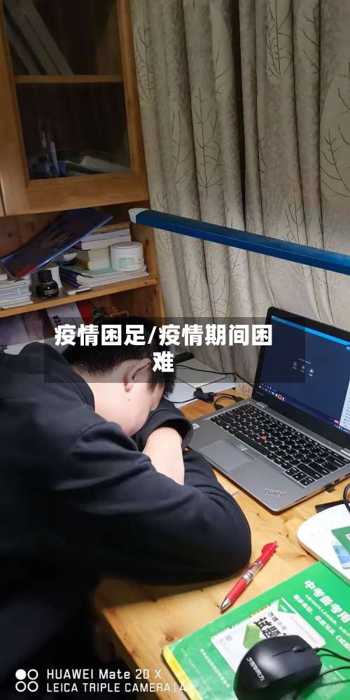 疫情困足/疫情期间困难