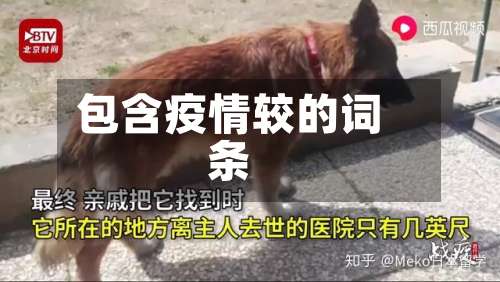 包含疫情较的词条