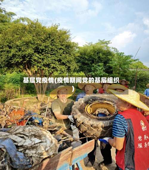 基层党疫情(疫情期间党的基层组织)