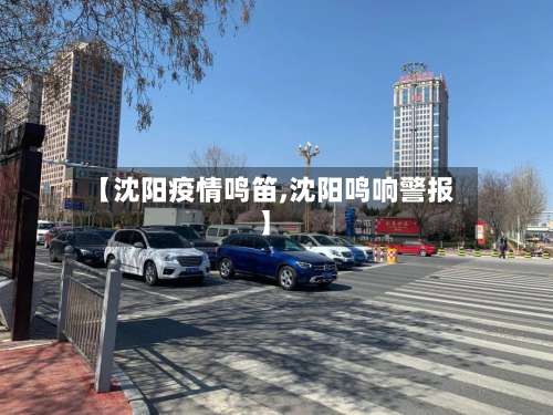 【沈阳疫情鸣笛,沈阳鸣响警报】-第2张图片