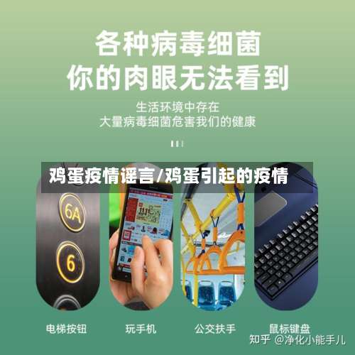 鸡蛋疫情谣言/鸡蛋引起的疫情