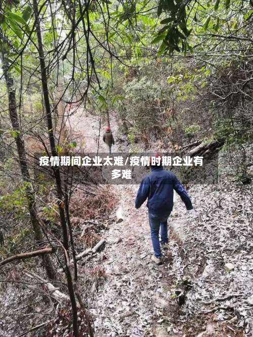 疫情期间企业太难/疫情时期企业有多难