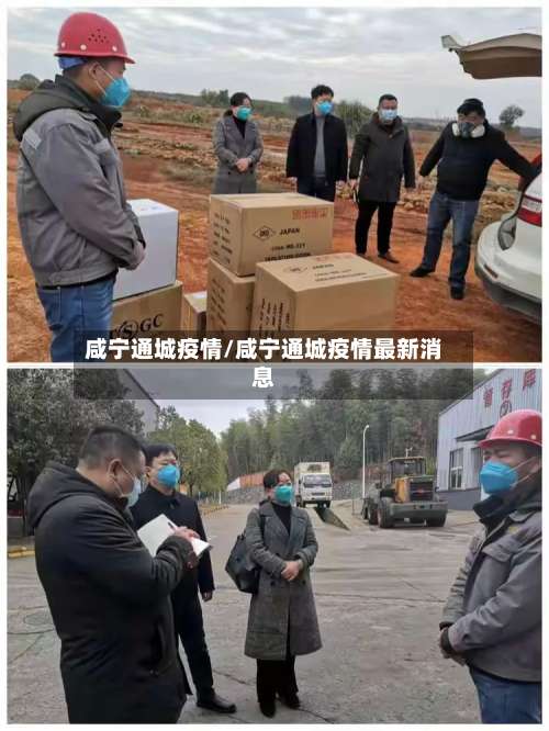 咸宁通城疫情/咸宁通城疫情最新消息
