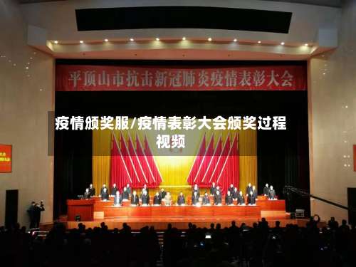 疫情颁奖服/疫情表彰大会颁奖过程视频-第2张图片