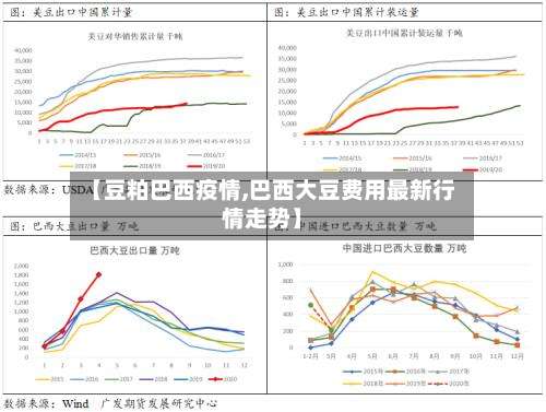 【豆粕巴西疫情,巴西大豆费用最新行情走势】