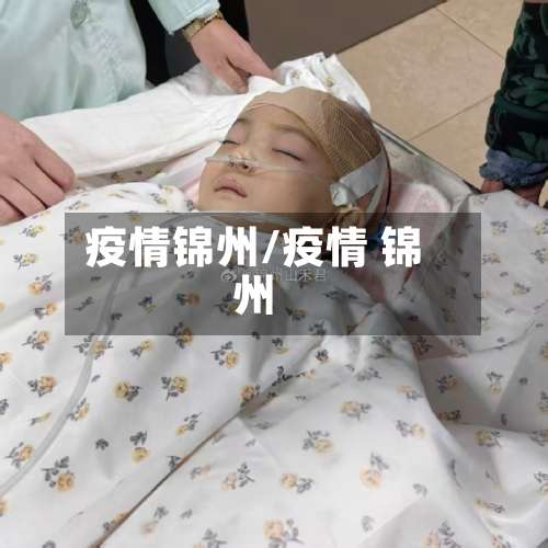 疫情锦州/疫情 锦州-第3张图片