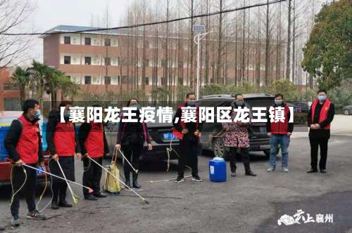 【襄阳龙王疫情,襄阳区龙王镇】-第3张图片