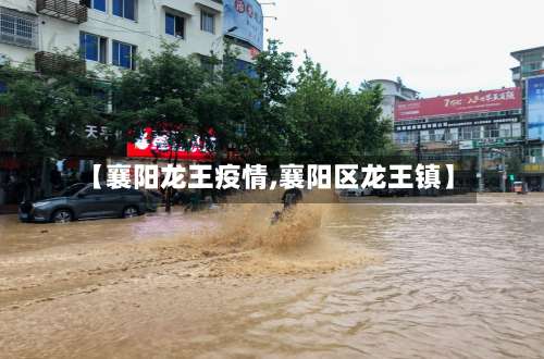 【襄阳龙王疫情,襄阳区龙王镇】