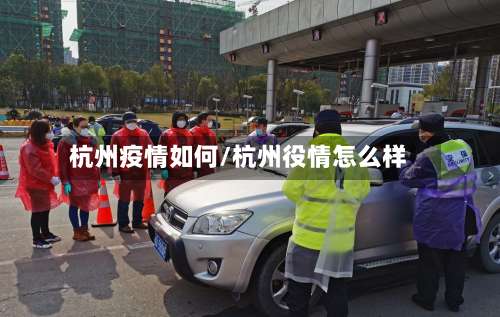 杭州疫情如何/杭州役情怎么样