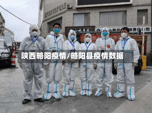 陕西略阳疫情/略阳县疫情数据