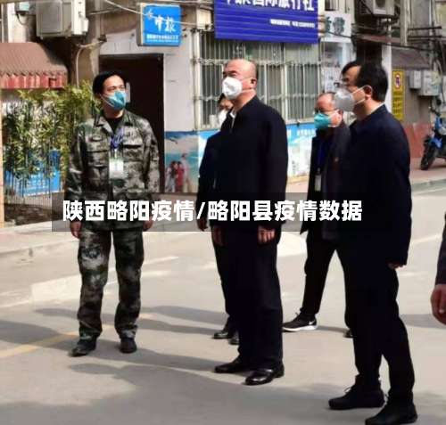陕西略阳疫情/略阳县疫情数据-第2张图片