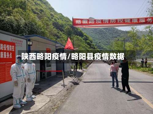 陕西略阳疫情/略阳县疫情数据-第3张图片