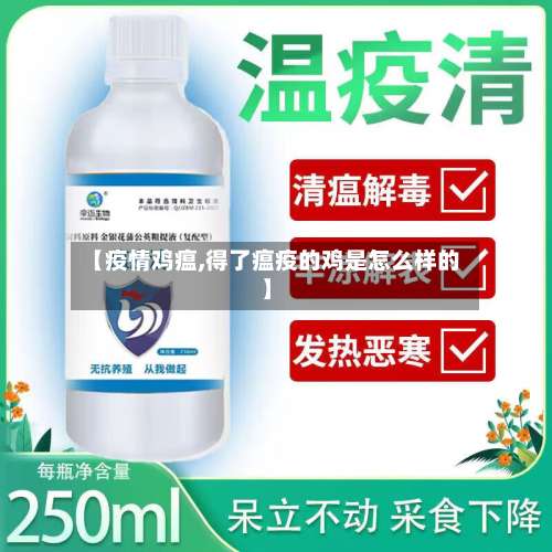 【疫情鸡瘟,得了瘟疫的鸡是怎么样的】