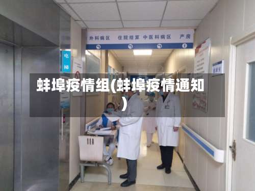 蚌埠疫情组(蚌埠疫情通知)-第2张图片