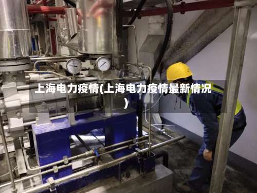 上海电力疫情(上海电力疫情最新情况)-第2张图片