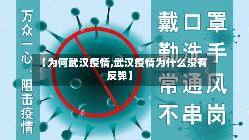 【为何武汉疫情,武汉疫情为什么没有反弹】-第2张图片