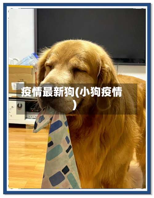 疫情最新狗(小狗疫情)