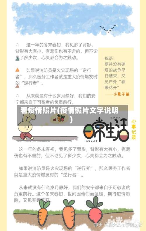 看疫情照片(疫情照片文字说明)