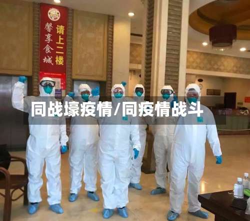 同战壕疫情/同疫情战斗