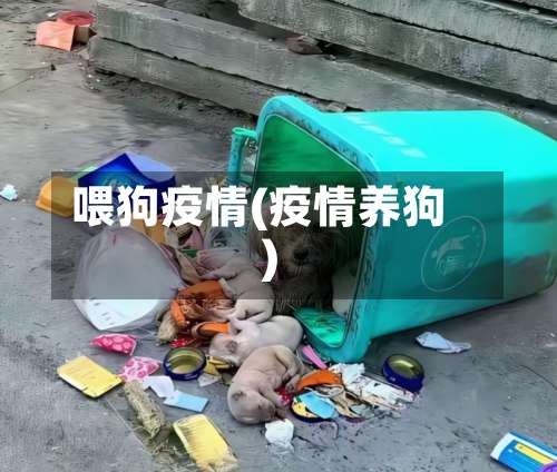 喂狗疫情(疫情养狗)