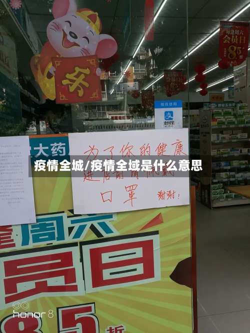 疫情全城/疫情全域是什么意思