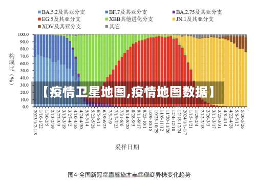 【疫情卫星地图,疫情地图数据】