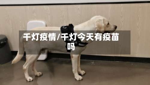 千灯疫情/千灯今天有疫苗吗