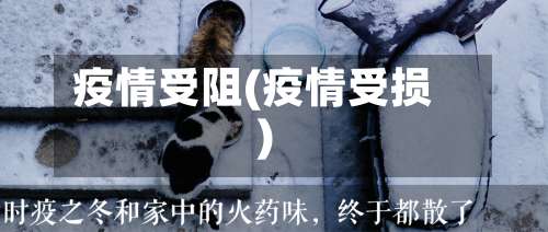 疫情受阻(疫情受损)