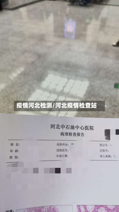 疫情河北检测/河北疫情检查站