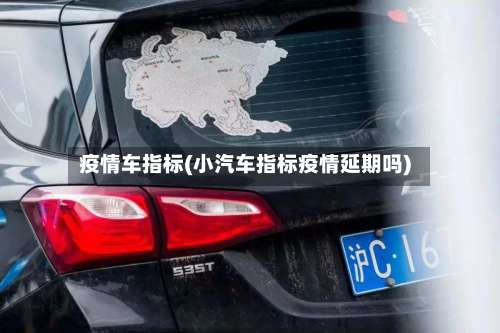 疫情车指标(小汽车指标疫情延期吗)-第3张图片