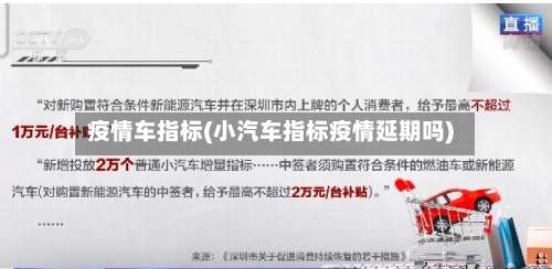 疫情车指标(小汽车指标疫情延期吗)-第2张图片