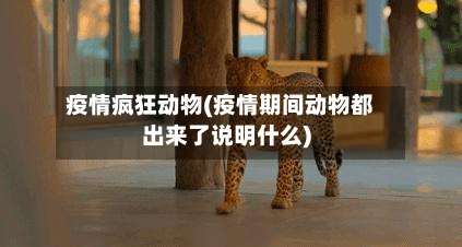 疫情疯狂动物(疫情期间动物都出来了说明什么)-第2张图片