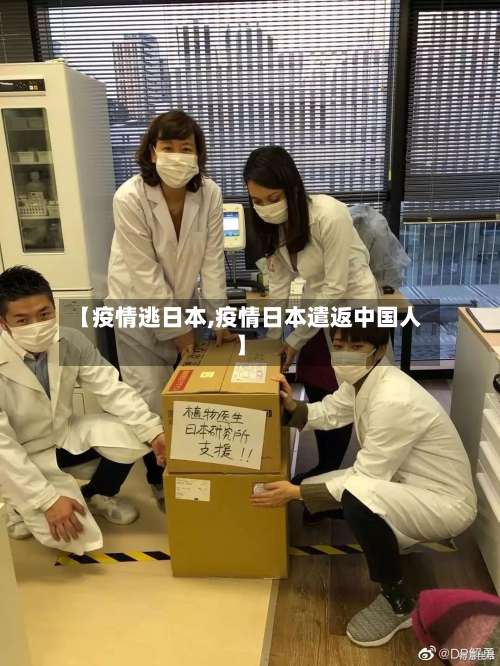 【疫情逃日本,疫情日本遣返中国人】-第3张图片