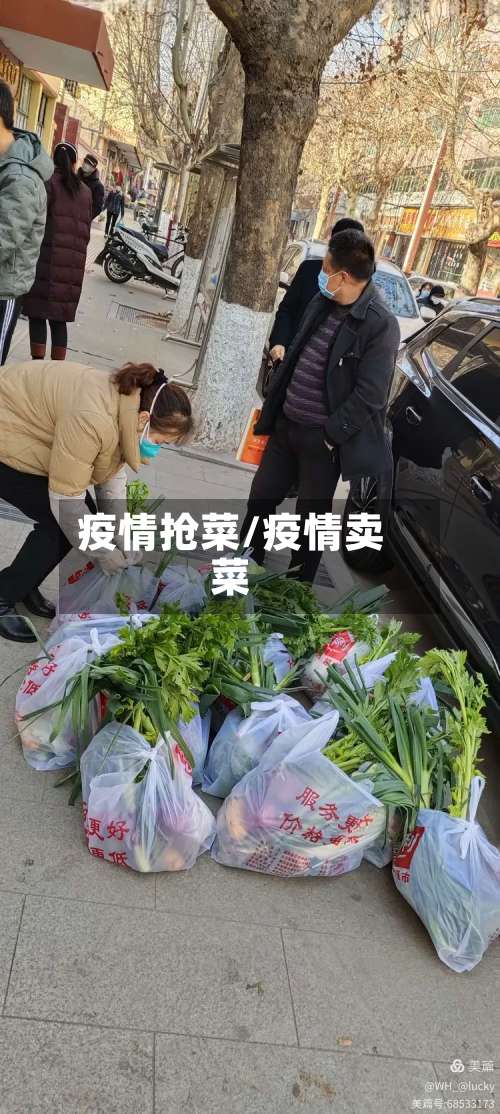 疫情抢菜/疫情卖菜-第2张图片