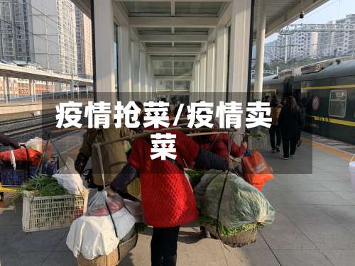 疫情抢菜/疫情卖菜