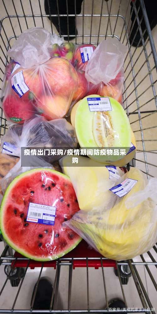 疫情出门采购/疫情期间防疫物品采购-第2张图片