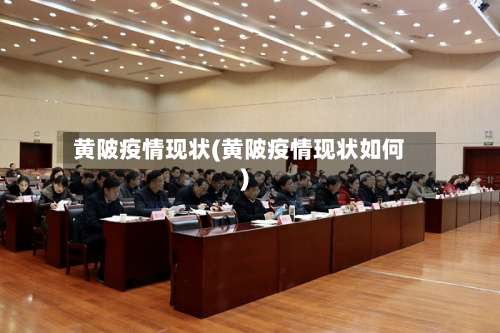 黄陂疫情现状(黄陂疫情现状如何)-第2张图片