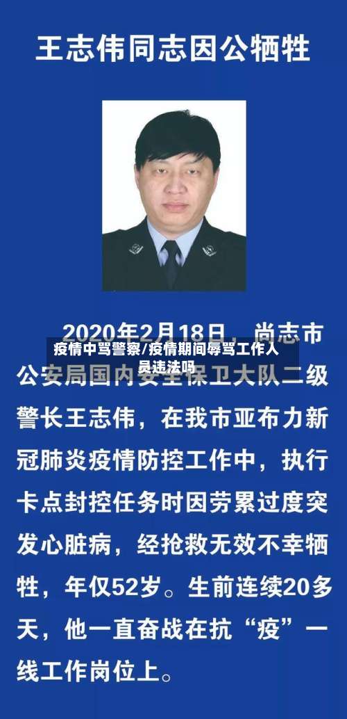 疫情中骂警察/疫情期间辱骂工作人员违法吗-第3张图片