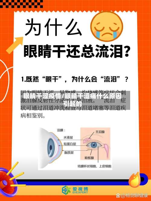 眼睛干涩疫情/眼睛干涩痛什么原因引起的-第2张图片