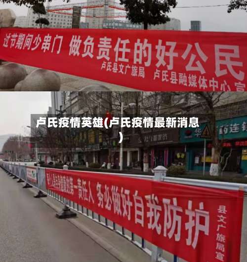 卢氏疫情英雄(卢氏疫情最新消息)