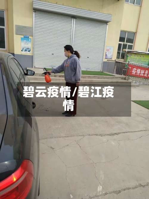 碧云疫情/碧江疫情