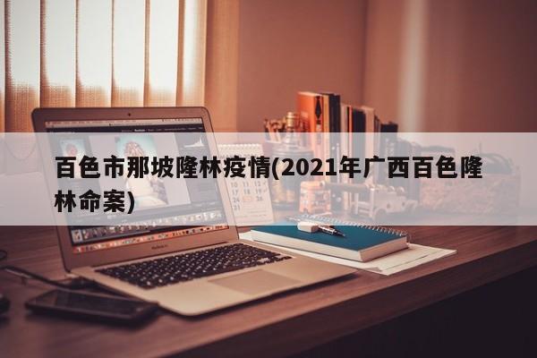 百色市那坡隆林疫情(2021年广西百色隆林命案)