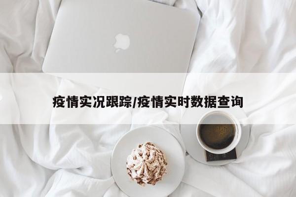 疫情实况跟踪/疫情实时数据查询