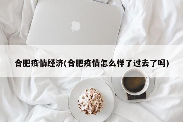 合肥疫情经济(合肥疫情怎么样了过去了吗)